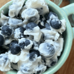 Frozen Yogurt Covered Blueberries